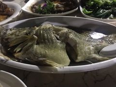 -鲤鱼塘农家山庄