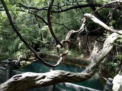 -四门塔风景区