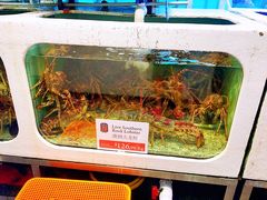-悉尼鱼市场