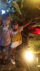 -恐龙探索乐园(磁器口店)