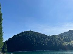 -武陵山森林公园