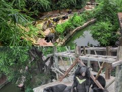 -长鹿旅游休博园
