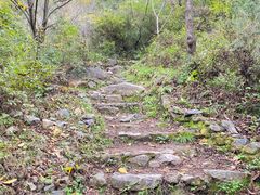 -云岫谷自然风景区