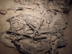 -北京大葆台遗址博物馆