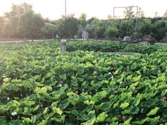 -长安上水缘度假庄园