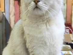 -小时光咖啡馆(开森度假森林店)