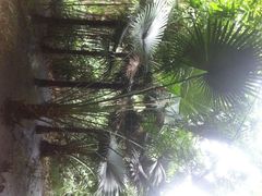 望江楼公园-望江楼公园