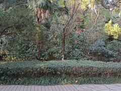 -泰州凤城河风景区-泰山公园