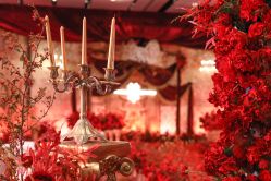 -DNA Wedding 婚礼记(上海店)