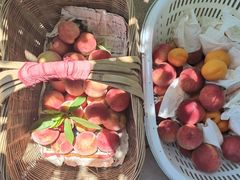 -乡村基(龙泉中街餐厅)