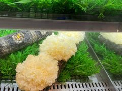 -老牌坊鱼豆花火锅(东盛大街店)