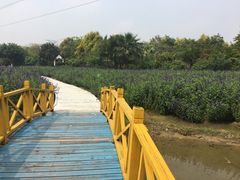 -广东花都香草世界旅游度假区