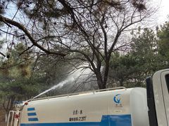 -云岗森林公园