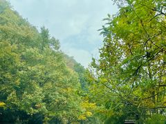 -沣峪森林公园龙潭戏水景区