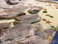 -福州罗源湾海洋世界旅游区