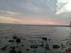 -宝安西湾红树林湿地公园