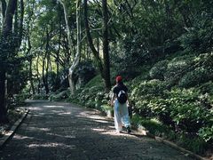 -杭州半山国家森林公园