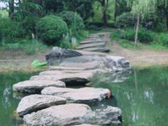 -贡湖湾湿地公园