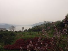 涵田度假村酒店-天目湖涵田度假村