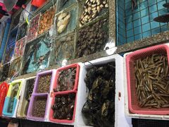 -霞涌市场海鲜摆卖区
