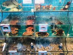 水产区-范饭椰林川湘味海鲜·椰子鸡(三亚湾椰梦长廊店)