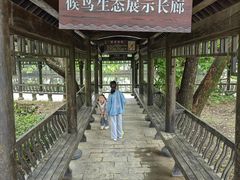 -东湖落雁景区
