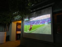 -ZING鲸鱼啤酒(葡萄院店)