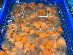 -兴仙饭店·闽味海鲜(马尾总店)