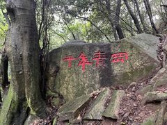 -波尔登森林公园