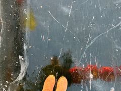 -长春市南湖公园