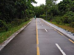 -聚龙山公园
