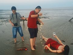 -南汇嘴观海公园