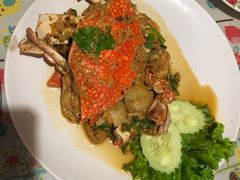 -Jungle Kitchen
