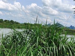 -会仙湿地