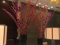 -梅地亚君澜度假酒店俱乐部