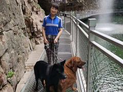 -宠福鑫康馨动物医院·骨科·眼科