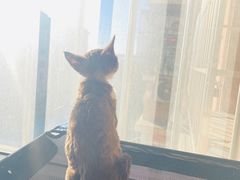 -HIHE Bistro·Oyster Bar(华熙live店)