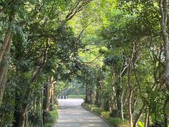 -小南山公园