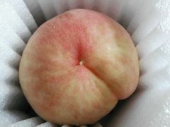 -南汇水蜜桃采摘(大团店)