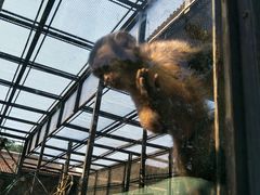 -石家庄市动物园