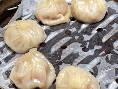 -唐八仙生煎(东鱼坊店)
