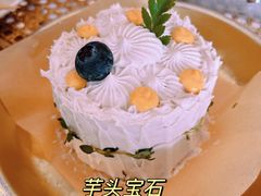 -野草莓自由市场