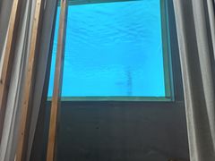 -上海潜殿潜水中心