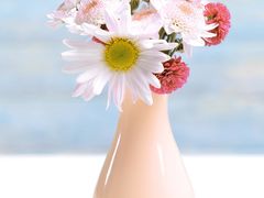 -好利来(团结湖店)