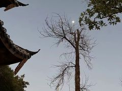 -乌山风景区