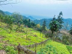 -凤栖山