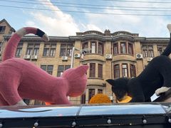 -巴厘龙虾·榜首油焖大虾(洞庭·艺术洋房店)