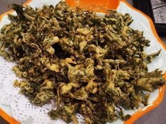 -向外鱼乐·土菜·虹鳟鱼
