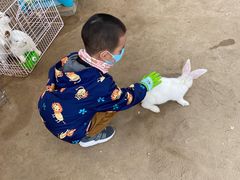 -前小桔亲子创意农场·草莓采摘·露营烧烤