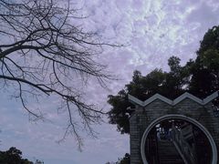 -风云岭森林公园